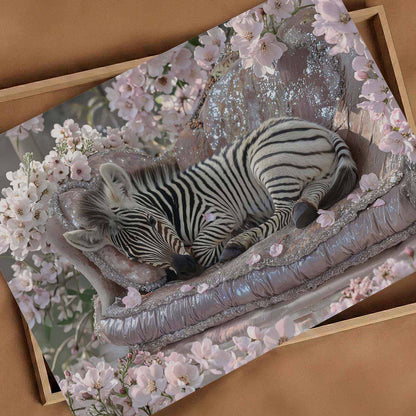 Baby Zebra, Horizontal, Art Print