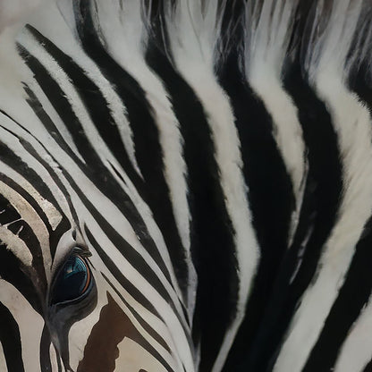 High Resolution Art Texture Of Baby Zebra