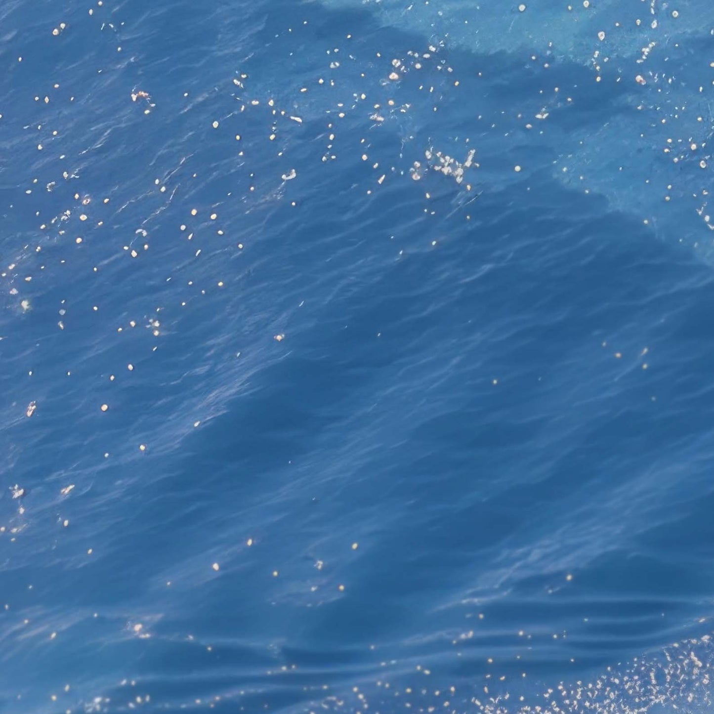 High Resolution Art Texture Of Beach Paradise II