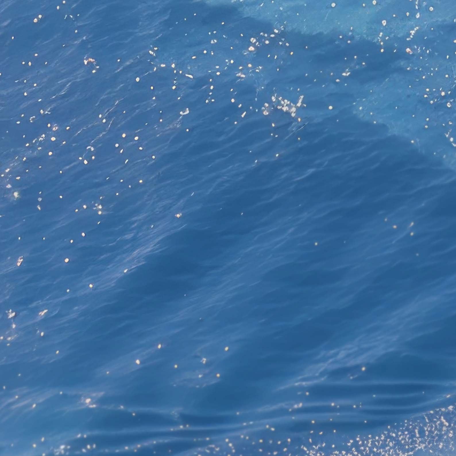 High Resolution Art Texture Of Beach Paradise II
