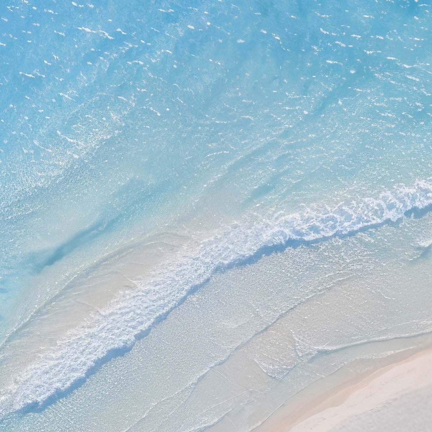 Extreme Close Up Detail Of Beach Paradise I