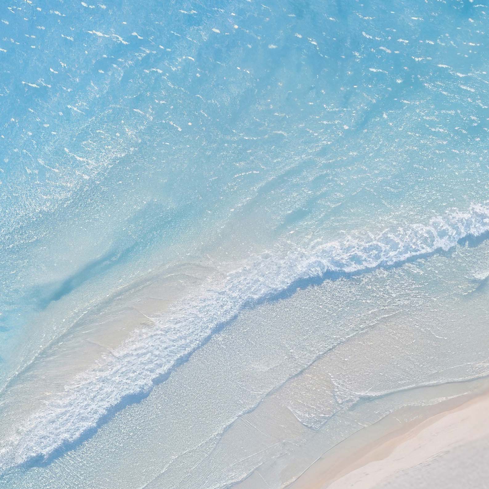 Extreme Close Up Detail Of Beach Paradise I