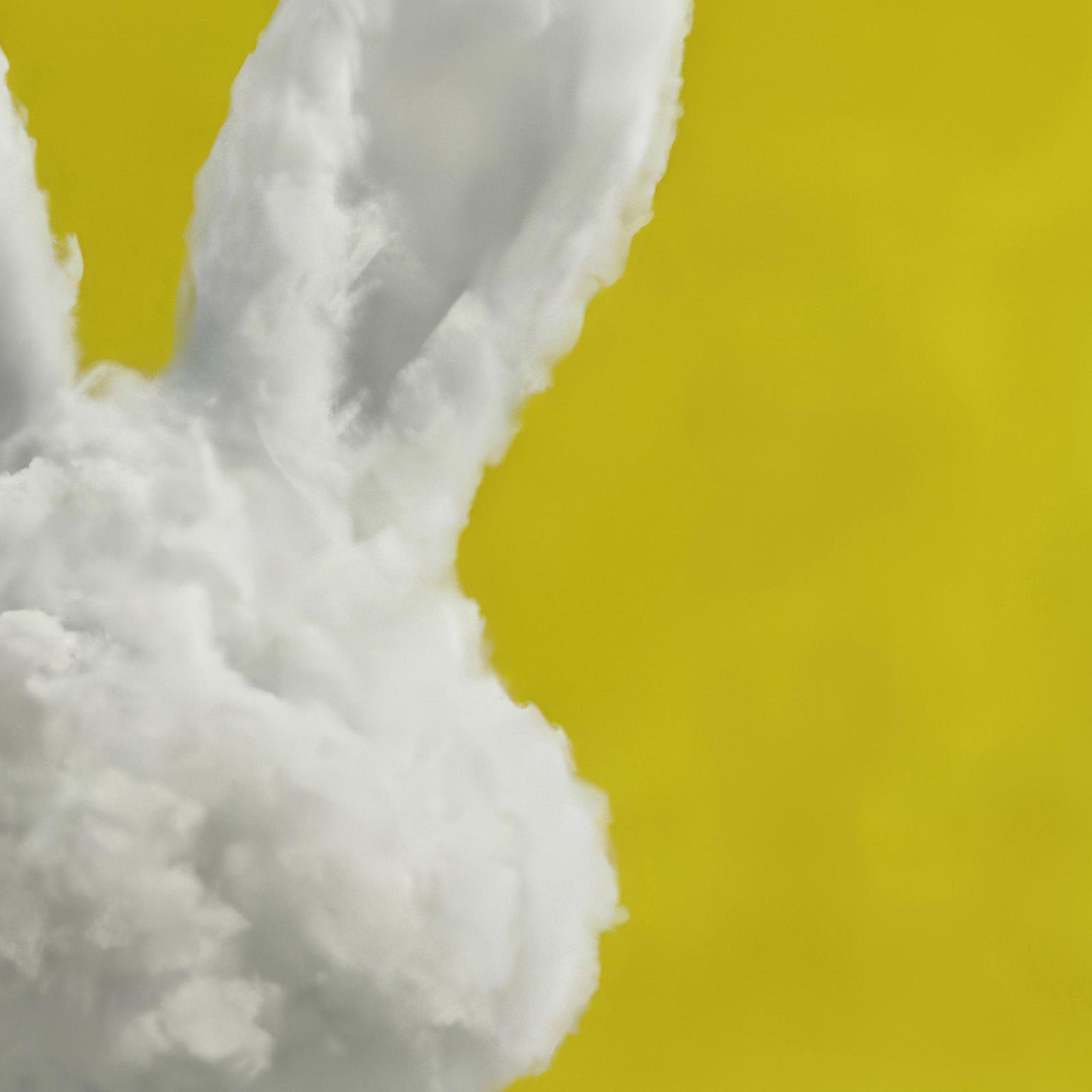 Extreme Close Up Detail Of Bunny Cloud · Mustard Yellow, Square