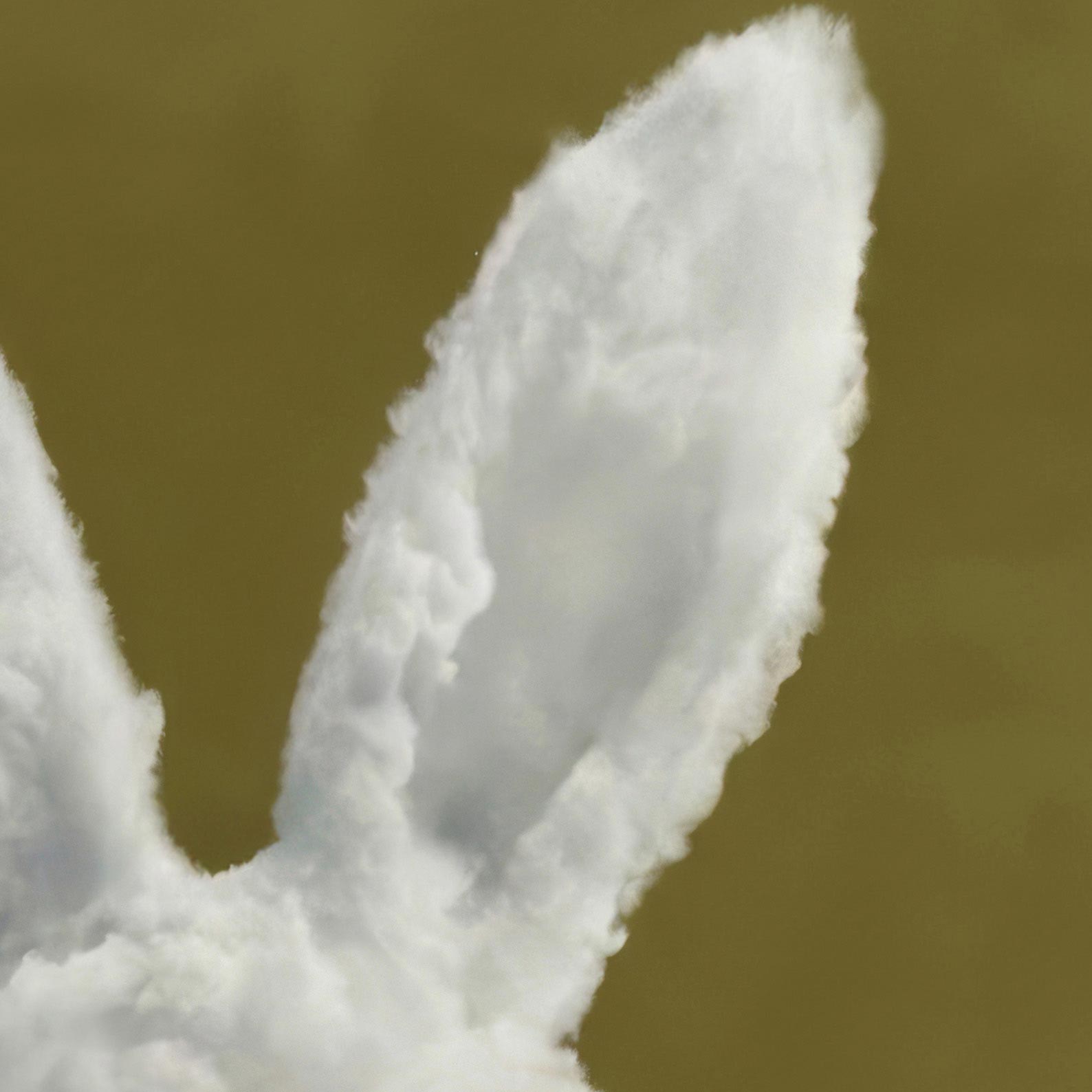 Extreme Close Up Detail Of Bunny Cloud · Olive Green, Vertical