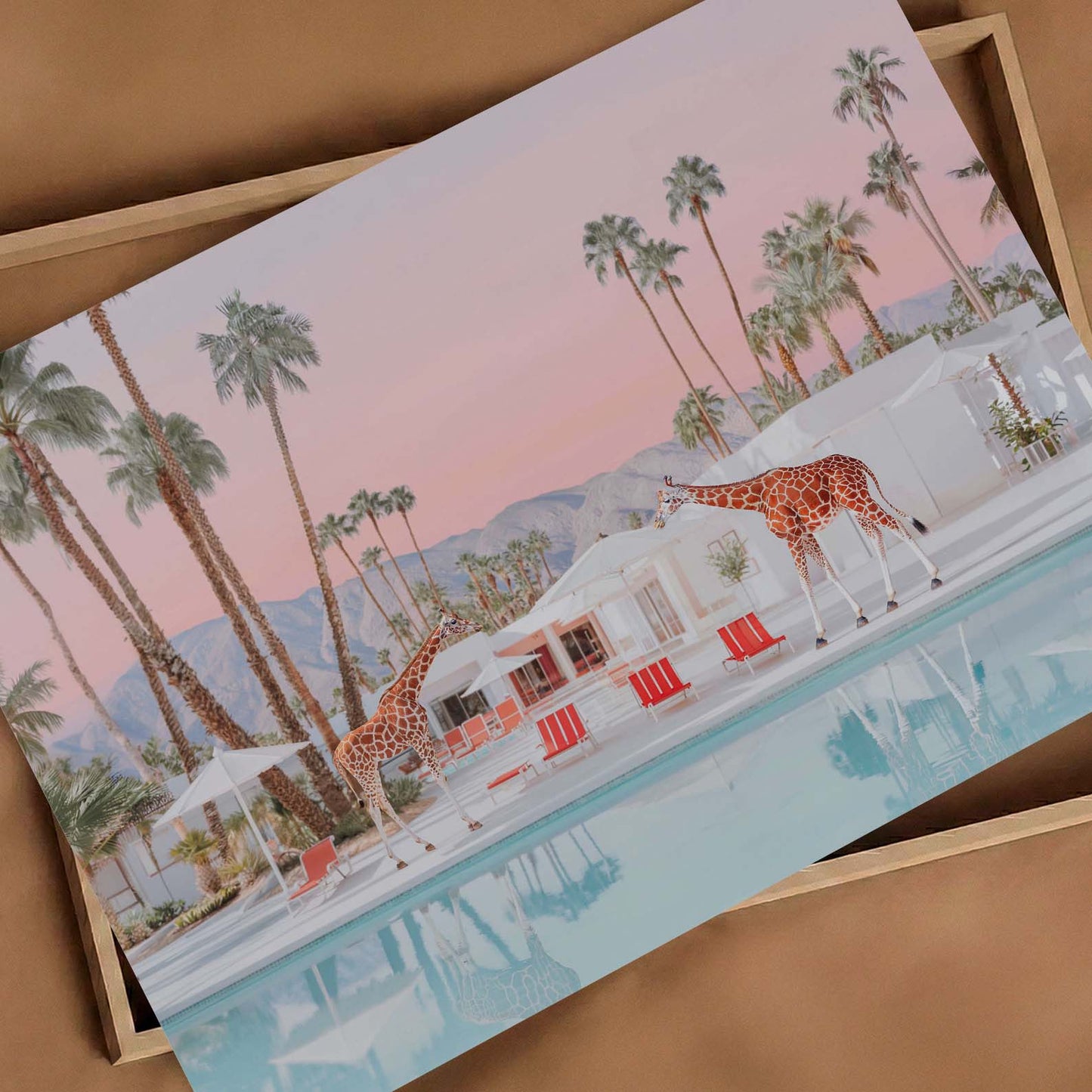 California Giraffes By The Pool, Horizontal, Art Print