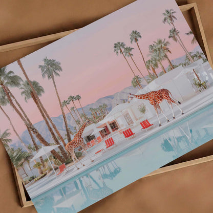 California Giraffes By The Pool, Horizontal, Art Print