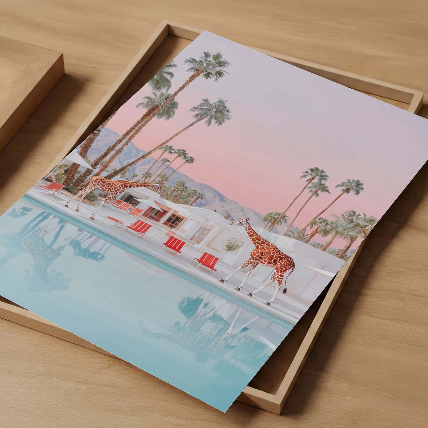 California Giraffes By The Pool, Vertical, Art Print