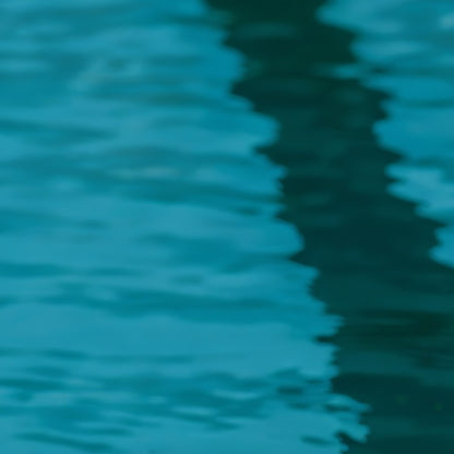Champion of the Pool_vertial