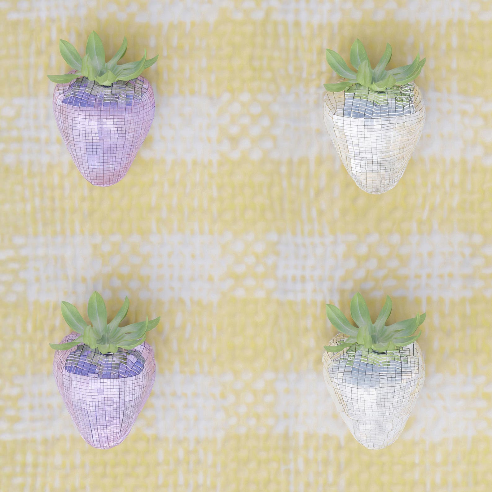 Extreme Close Up Detail Of Disco Berry Grid II