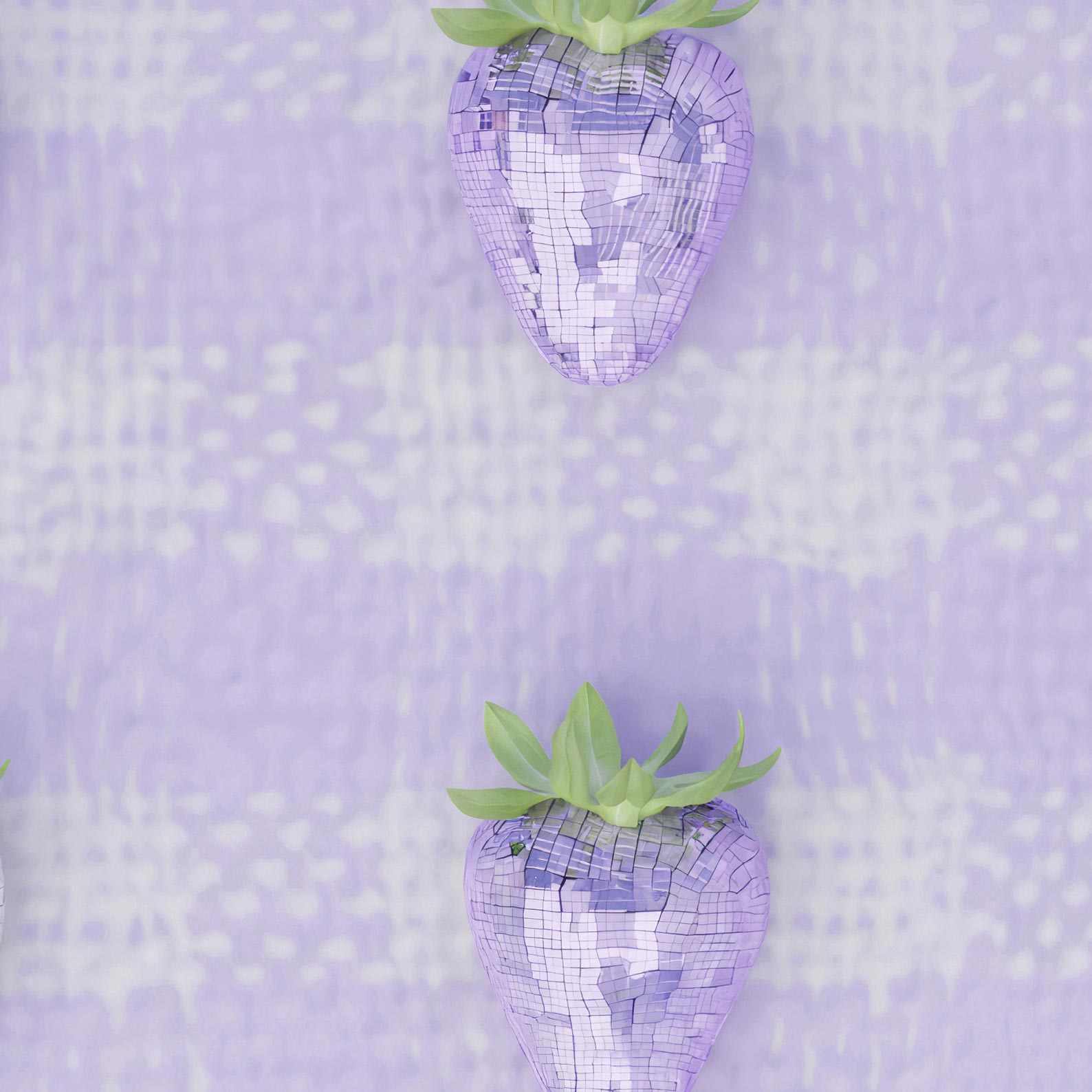 Extreme Close Up Detail Of Disco Berry Grid