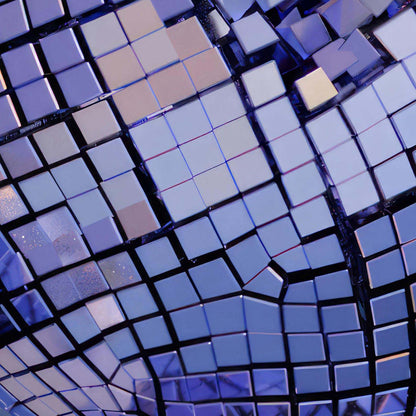 Extreme Close Up Detail Of Disco Blueberries I