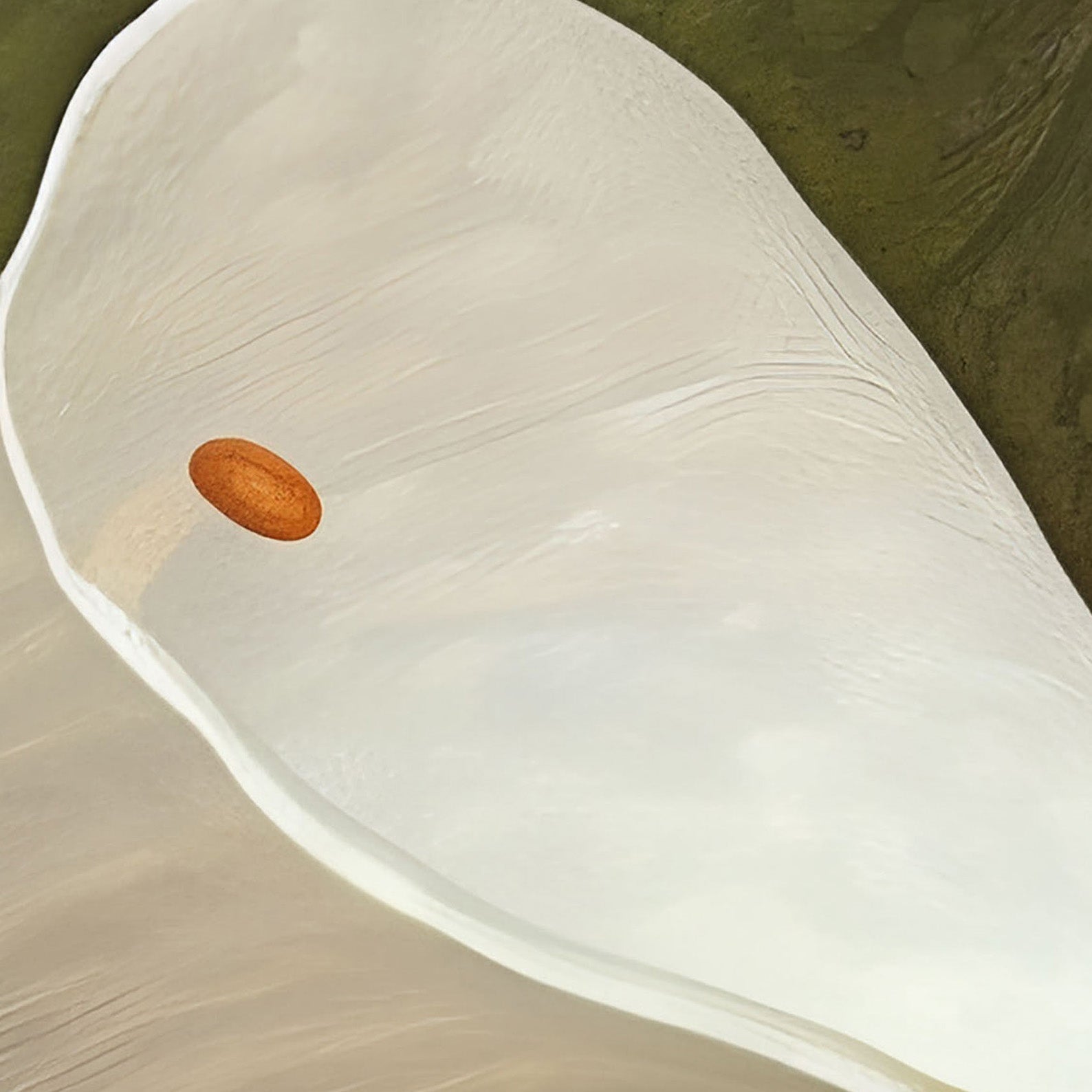 High Definition Print Quality Detail Of Dreaming Forest Nymph In Floral Bloom I, Horizontal