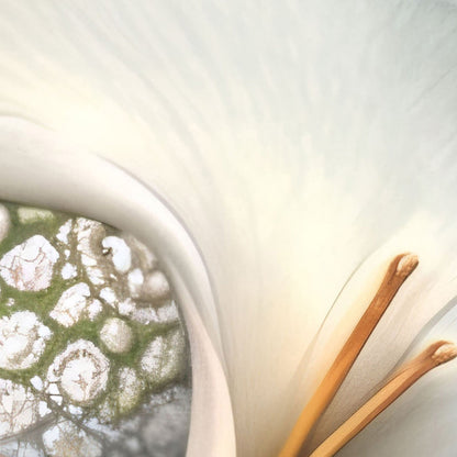 High Definition Print Quality Detail Of Dreaming Forest Nymph In Floral Bloom II, Vertical