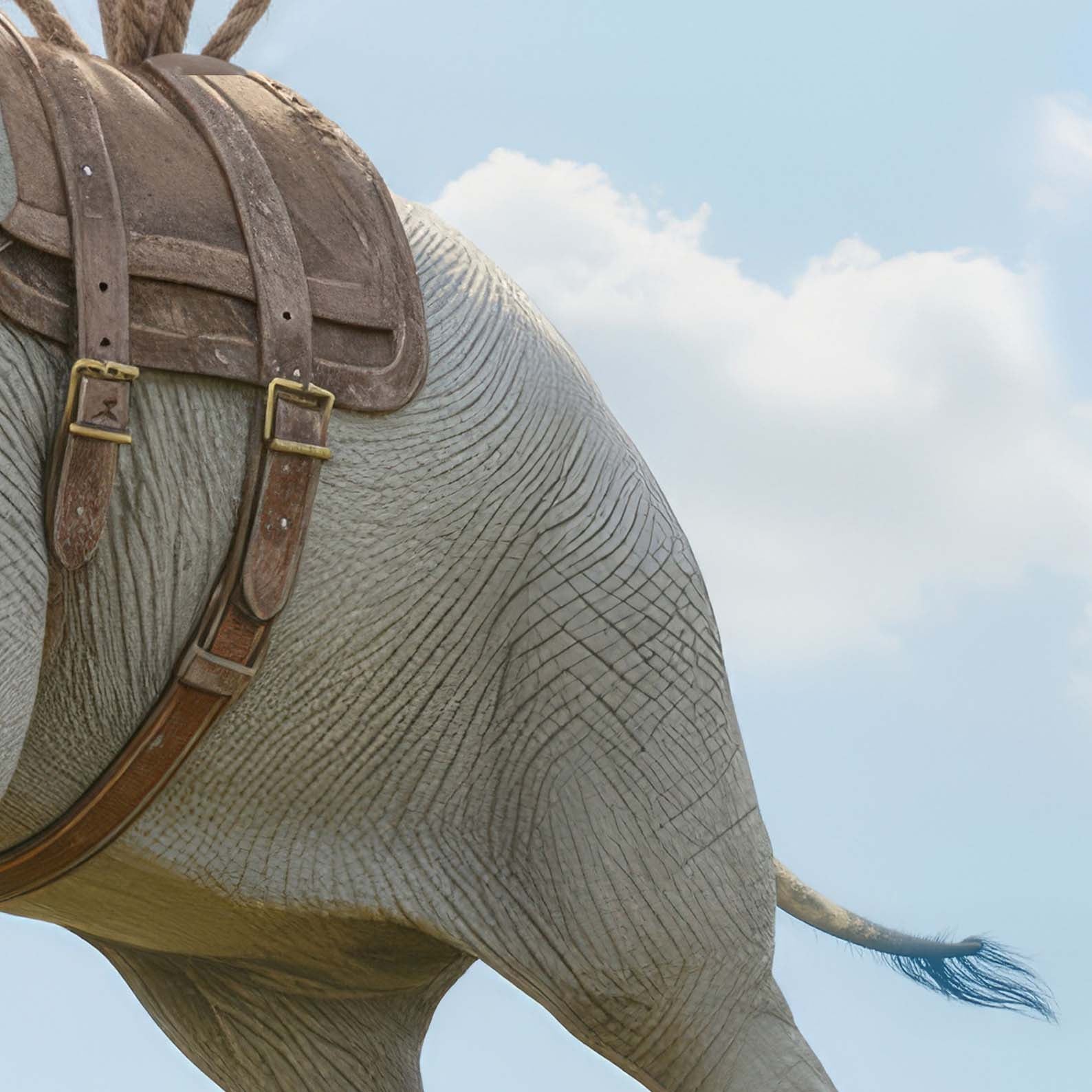 High Resolution Art Texture Of Elephant Flight