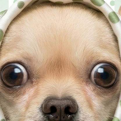 Extreme Close Up Detail Of Fashion Chihuahua N