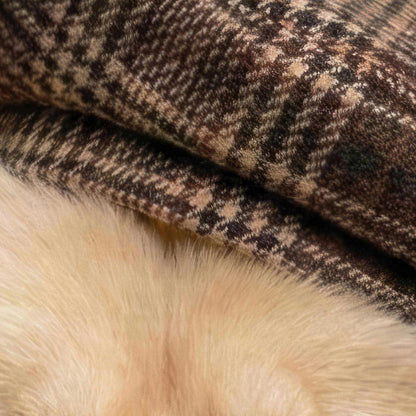 High Resolution Art Texture Of Fashion Chow Chow