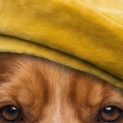 High Resolution Art Texture Of Fashion Cocker Spaniel F