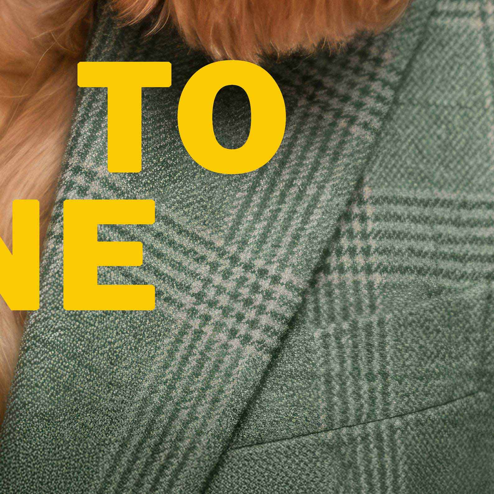High Definition Print Quality Detail Of Fashion Cocker Spaniel F