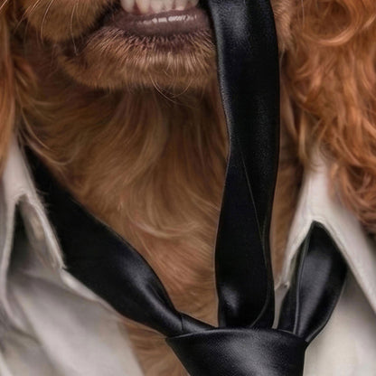 High Resolution Art Texture Of Fashion Cocker Spaniel