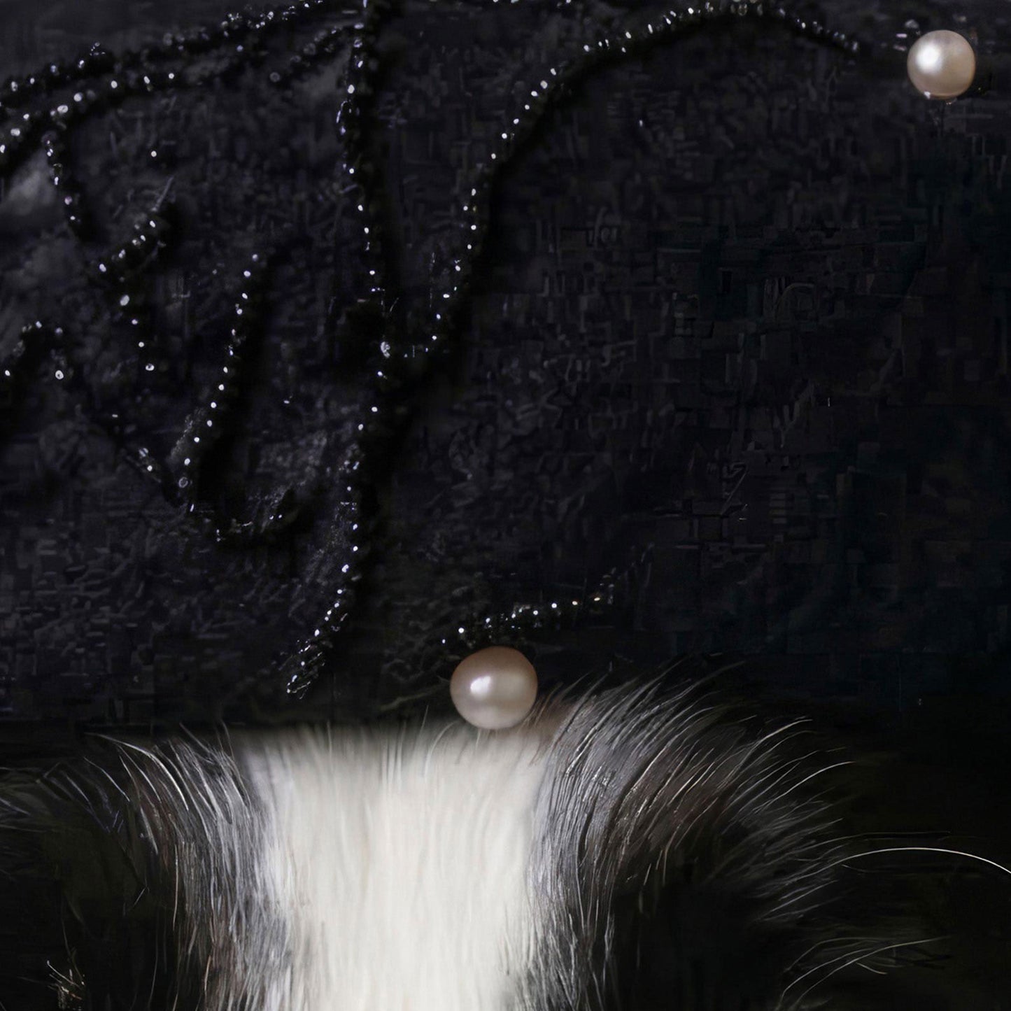 High Definition Print Quality Detail Of Fashion Collie II