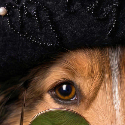 High Definition Print Quality Detail Of Fashion Collie