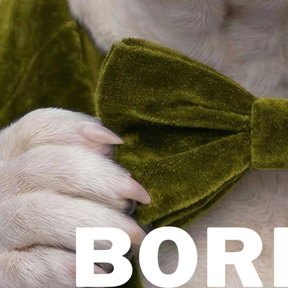 High Resolution Art Texture Of Fashion English Bulldog