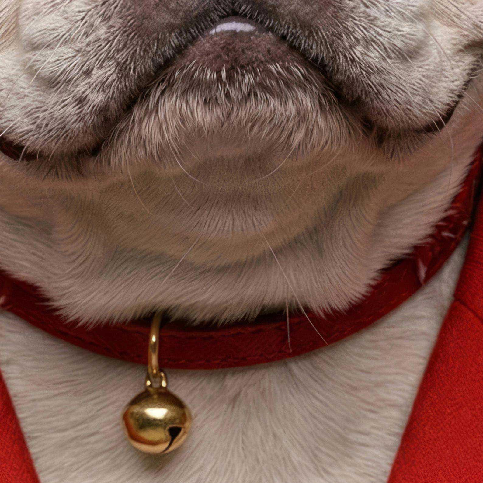 High Resolution Art Texture Of Fashion French Bulldog III