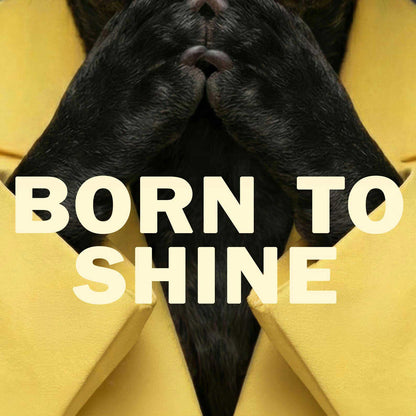High Resolution Art Texture Of Fashion French Bulldog II