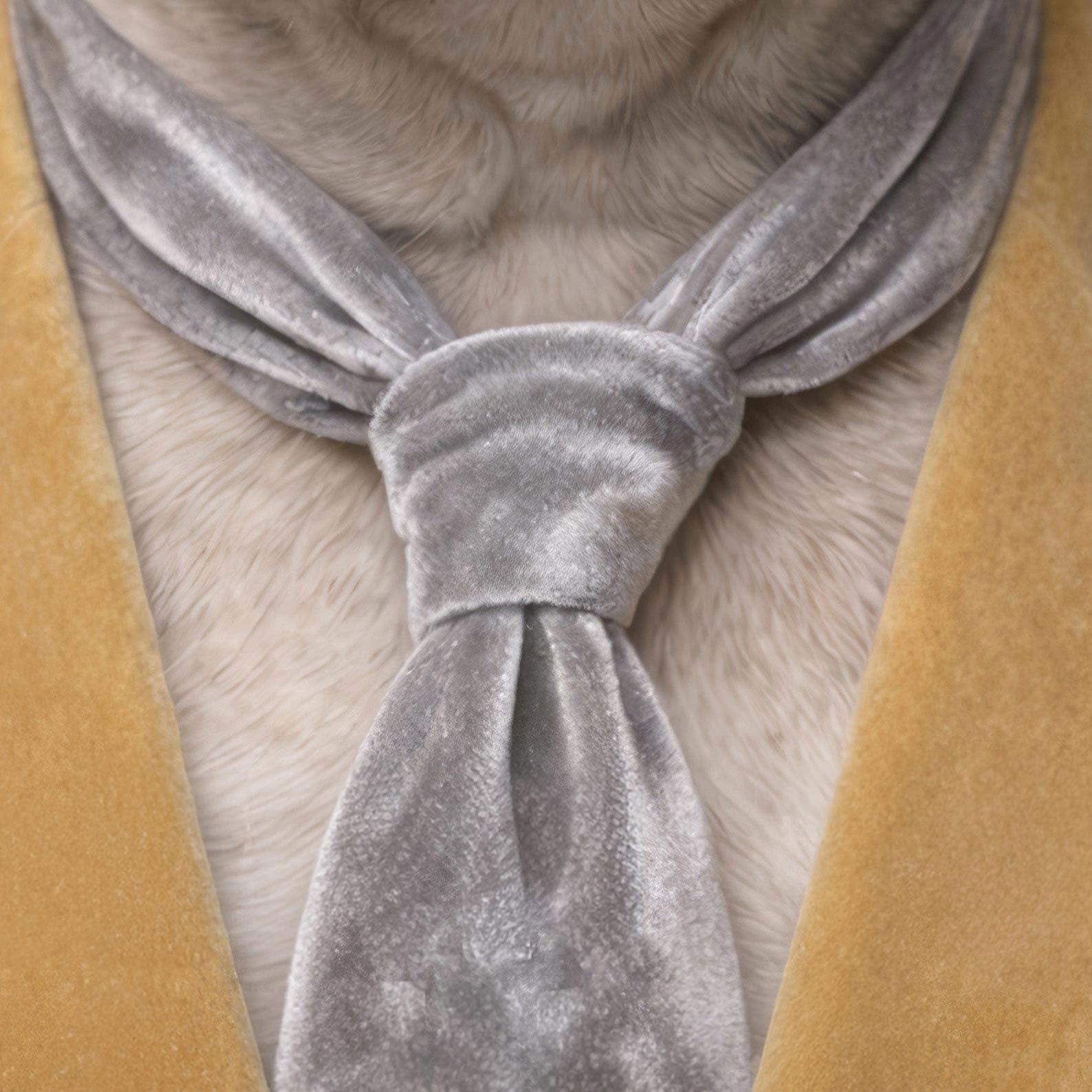 High Definition Print Quality Detail Of Fashion French Bulldog V N