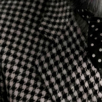 High Definition Print Quality Detail Of Fashion Husky N