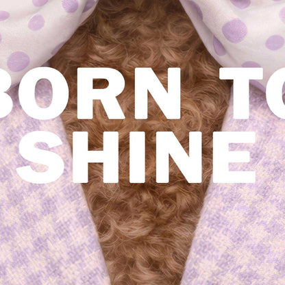 High Resolution Art Texture Of Fashion Poodle