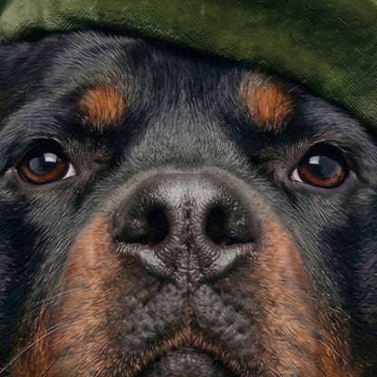 Extreme Close Up Detail Of Fashion Rottweiler