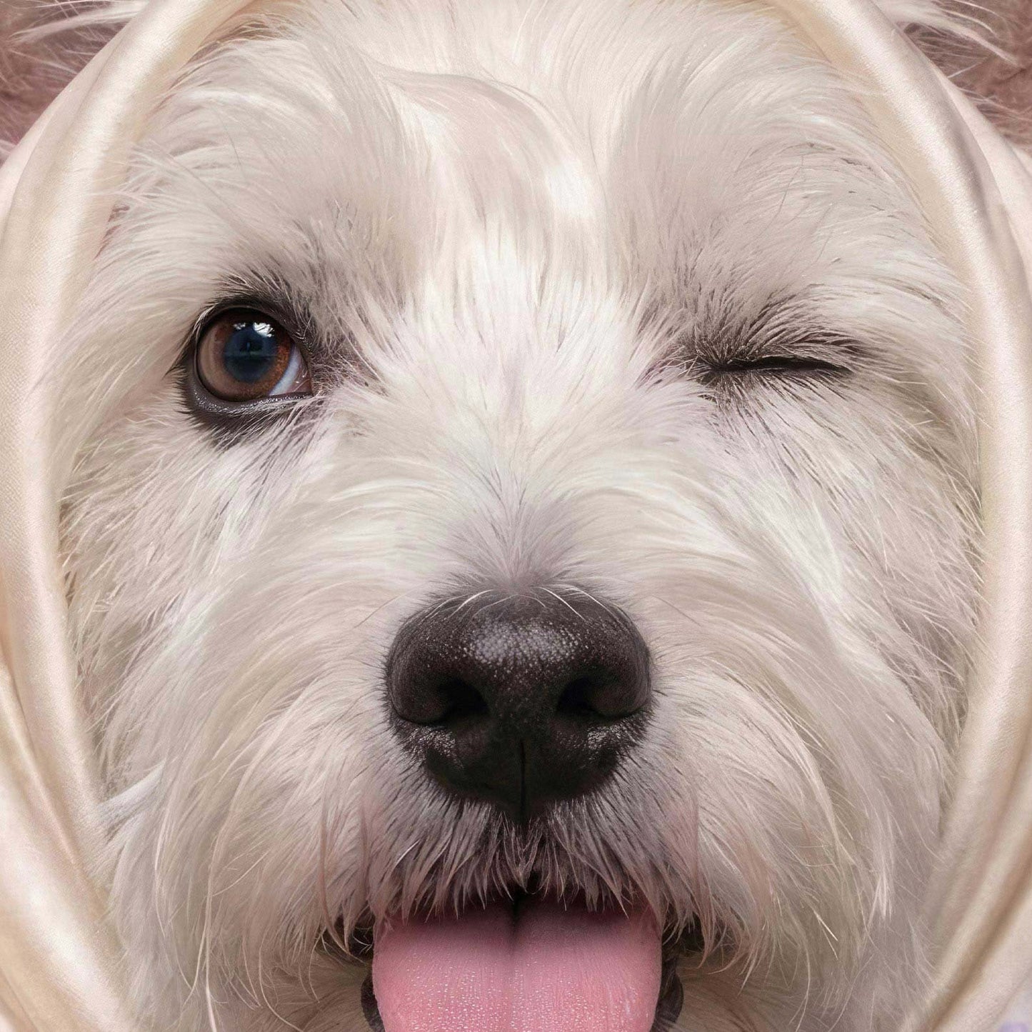 Extreme Close Up Detail Of Fashion Westie