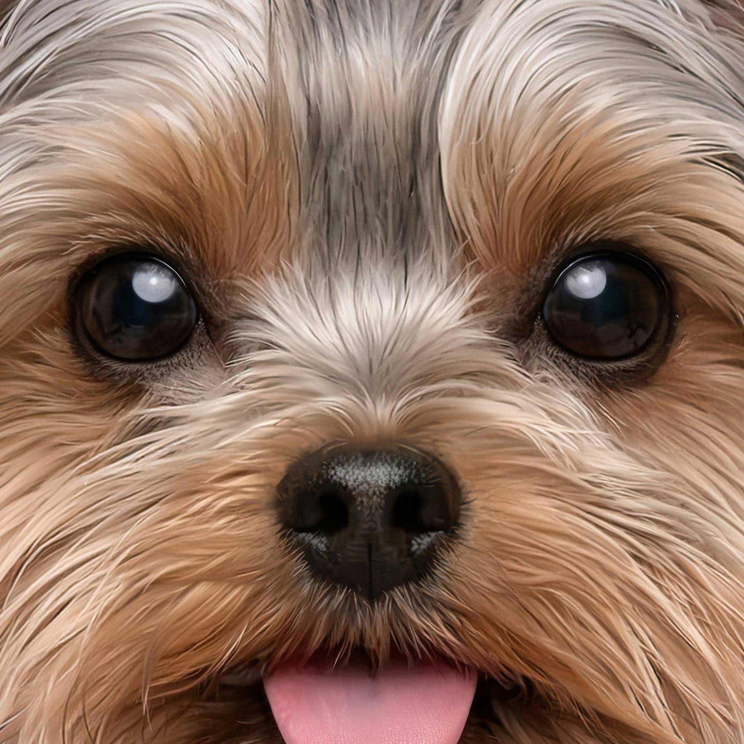 Extreme Close Up Detail Of Fashion Yorkshire Terrier