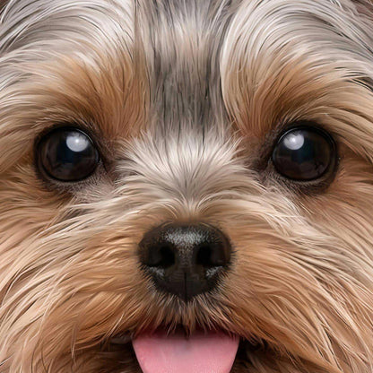 Extreme Close Up Detail Of Fashion Yorkshire Terrier