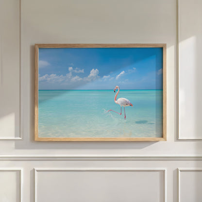 Flamingo Ocean, Horizontal, Wall Art