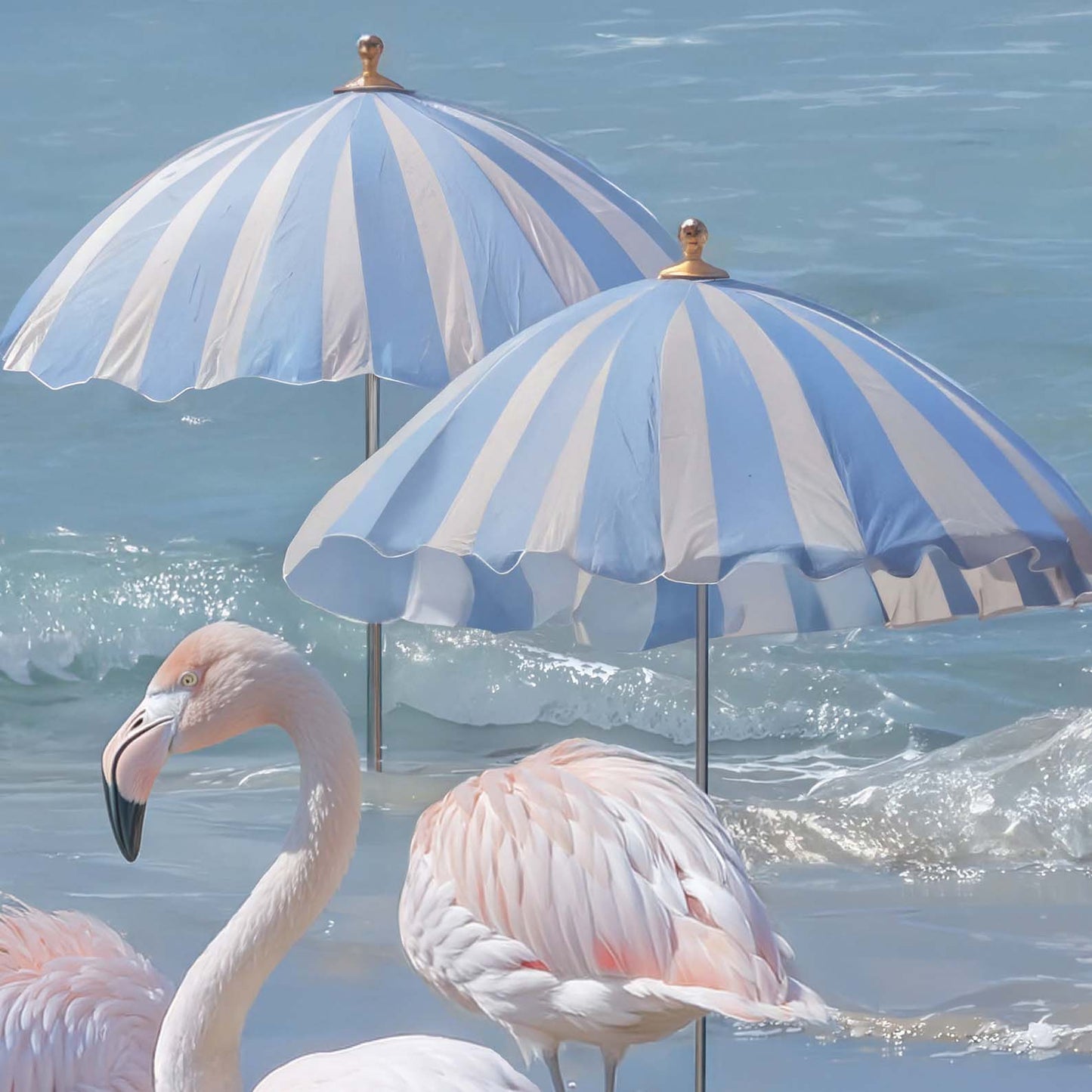 Extreme Close Up Detail Of Flamingos By The Coast