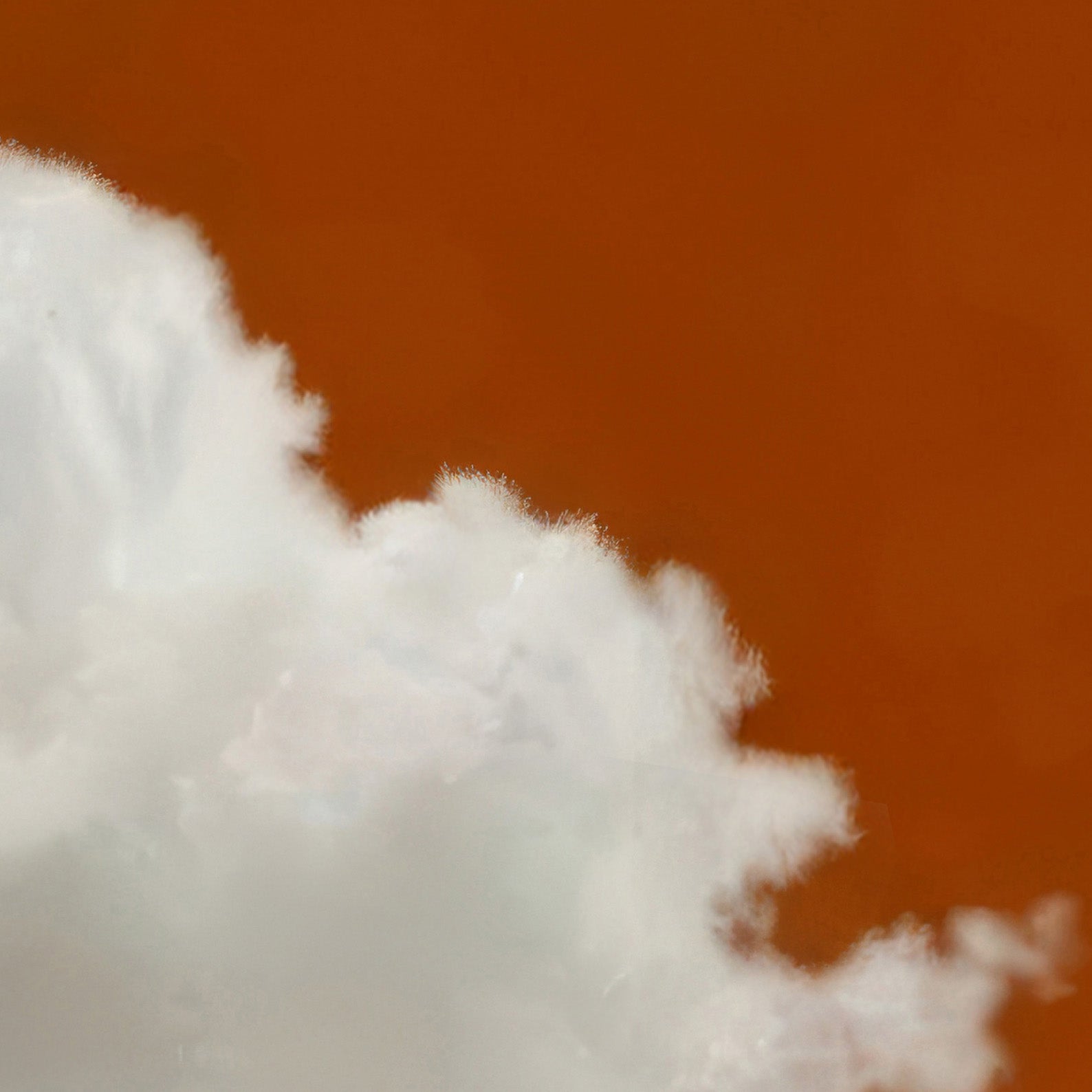 Extreme Close Up Detail Of Fluffy Cloud · Burnt Orange