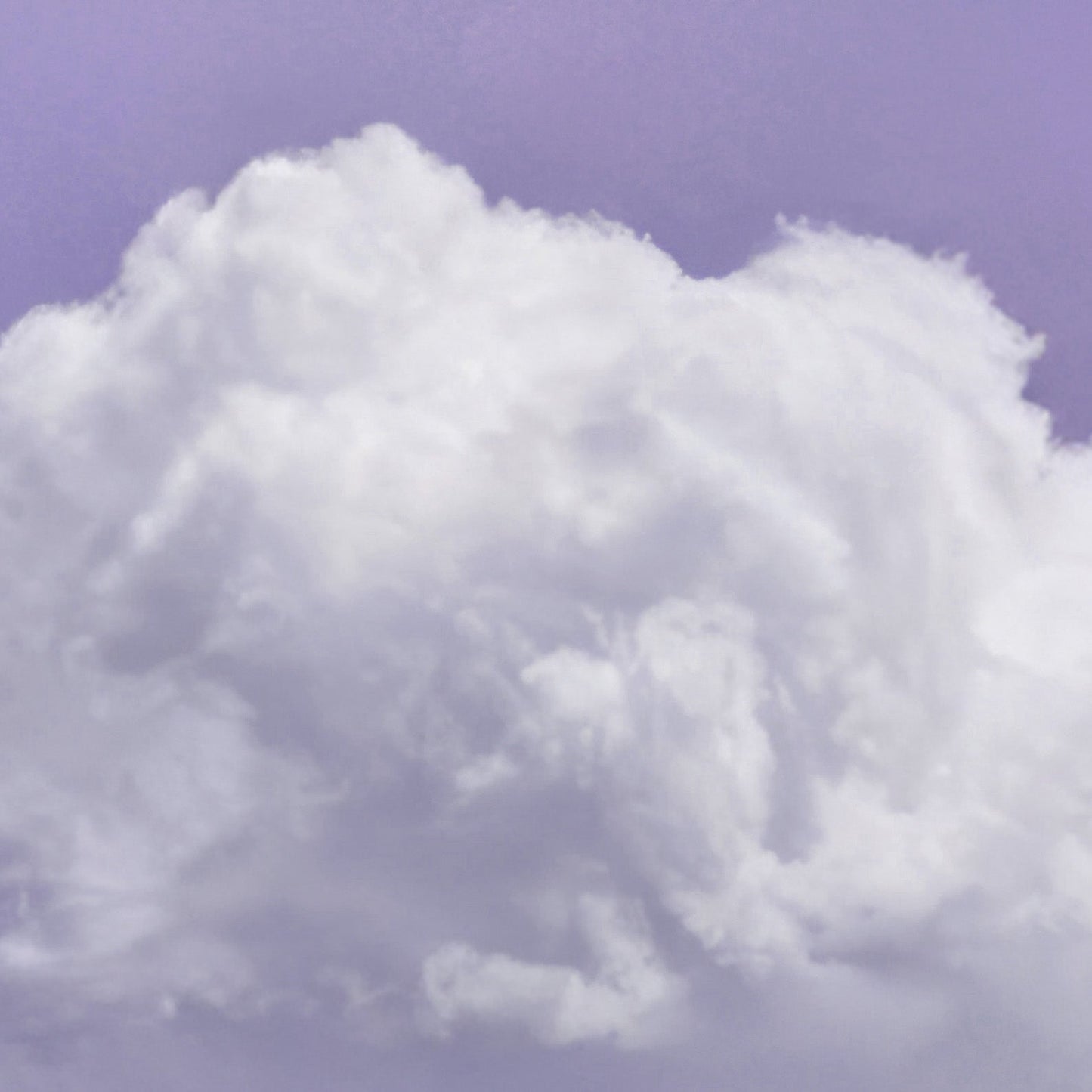 Extreme Close Up Detail Of Fluffy Cloud · Purple