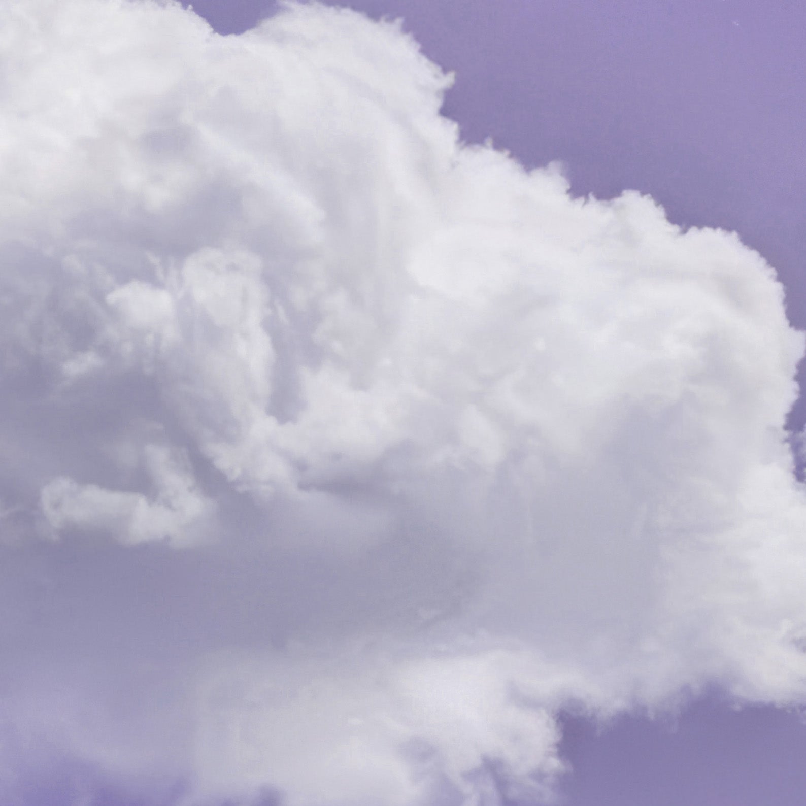 High Resolution Art Texture Of Fluffy Cloud · Purple