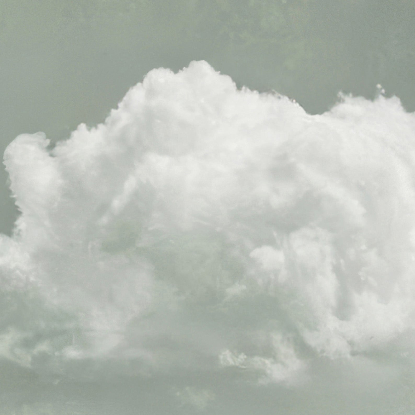 High Resolution Art Texture Of Fluffy Cloud · Sage Green