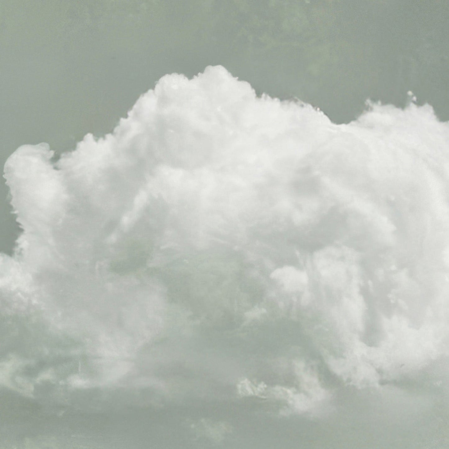 High Resolution Art Texture Of Fluffy Cloud · Sage Green
