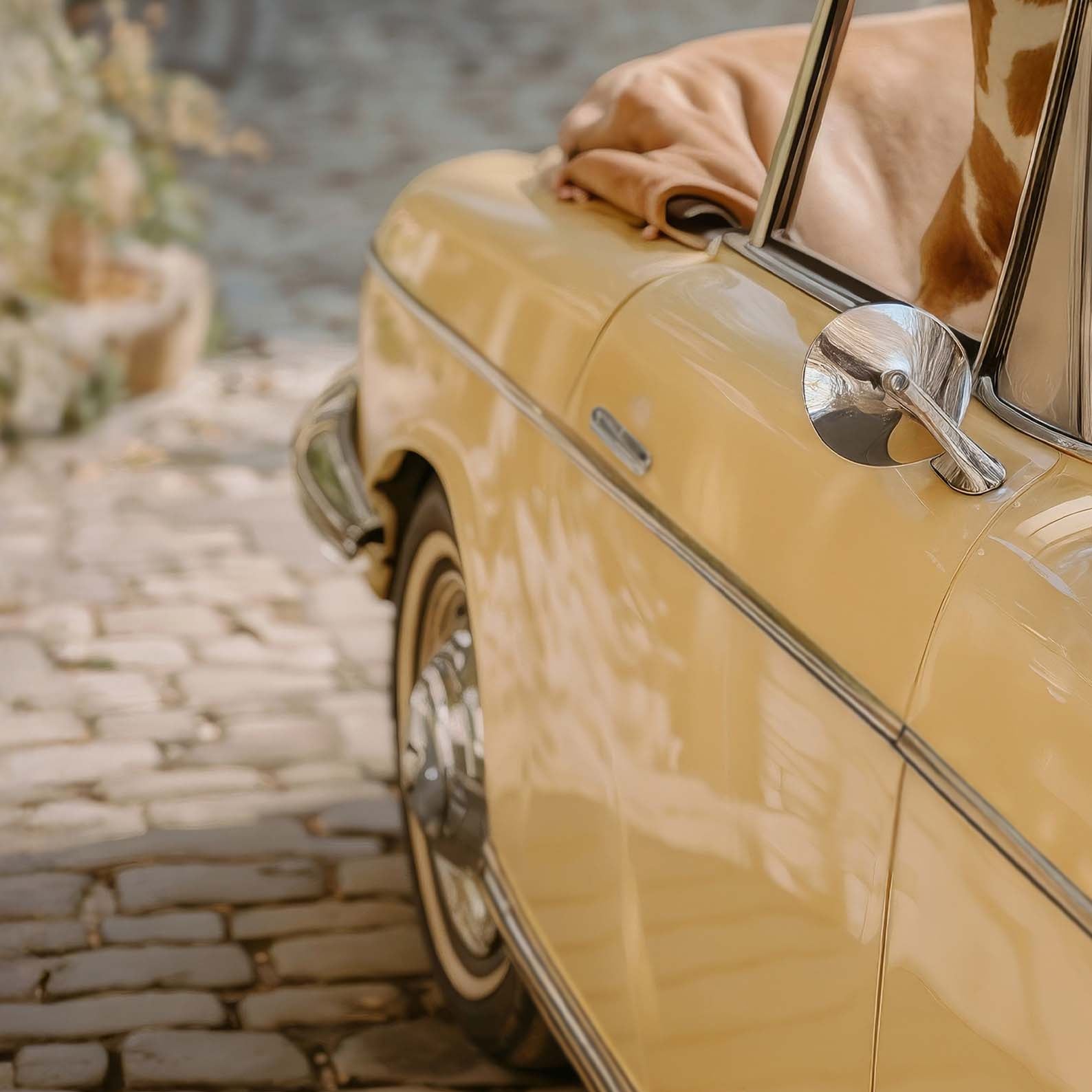 High Resolution Art Texture Of Giraffe And Butterfly