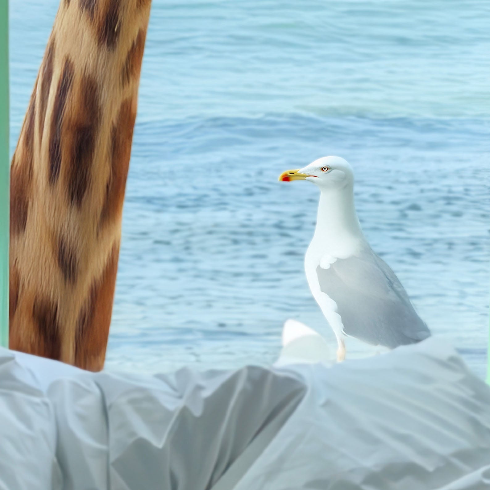 High Resolution Art Texture Of Giraffe And Seagull I