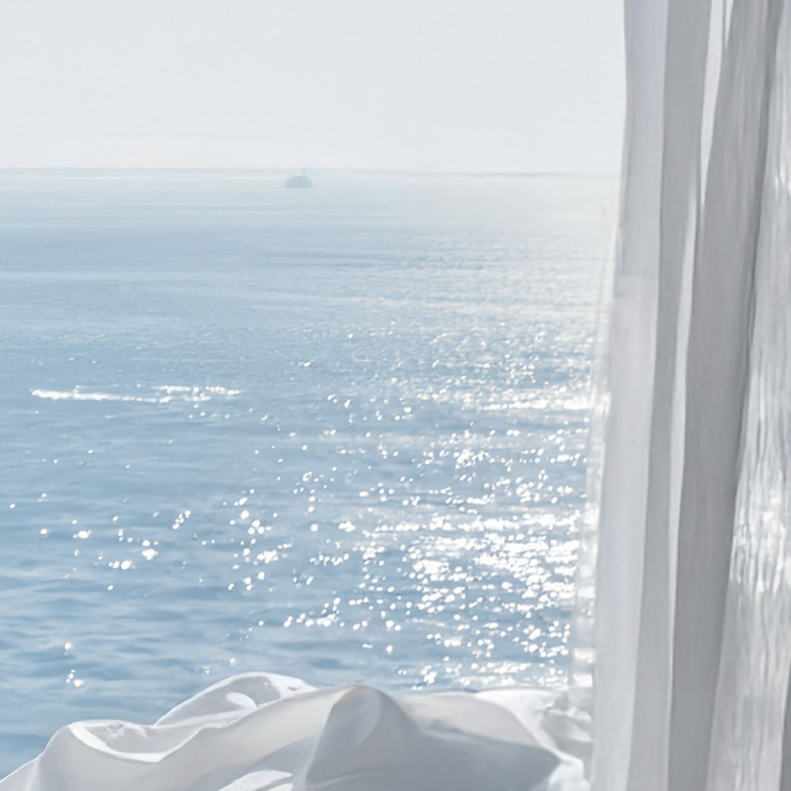 High Definition Print Quality Detail Of Giraffe And Seagull