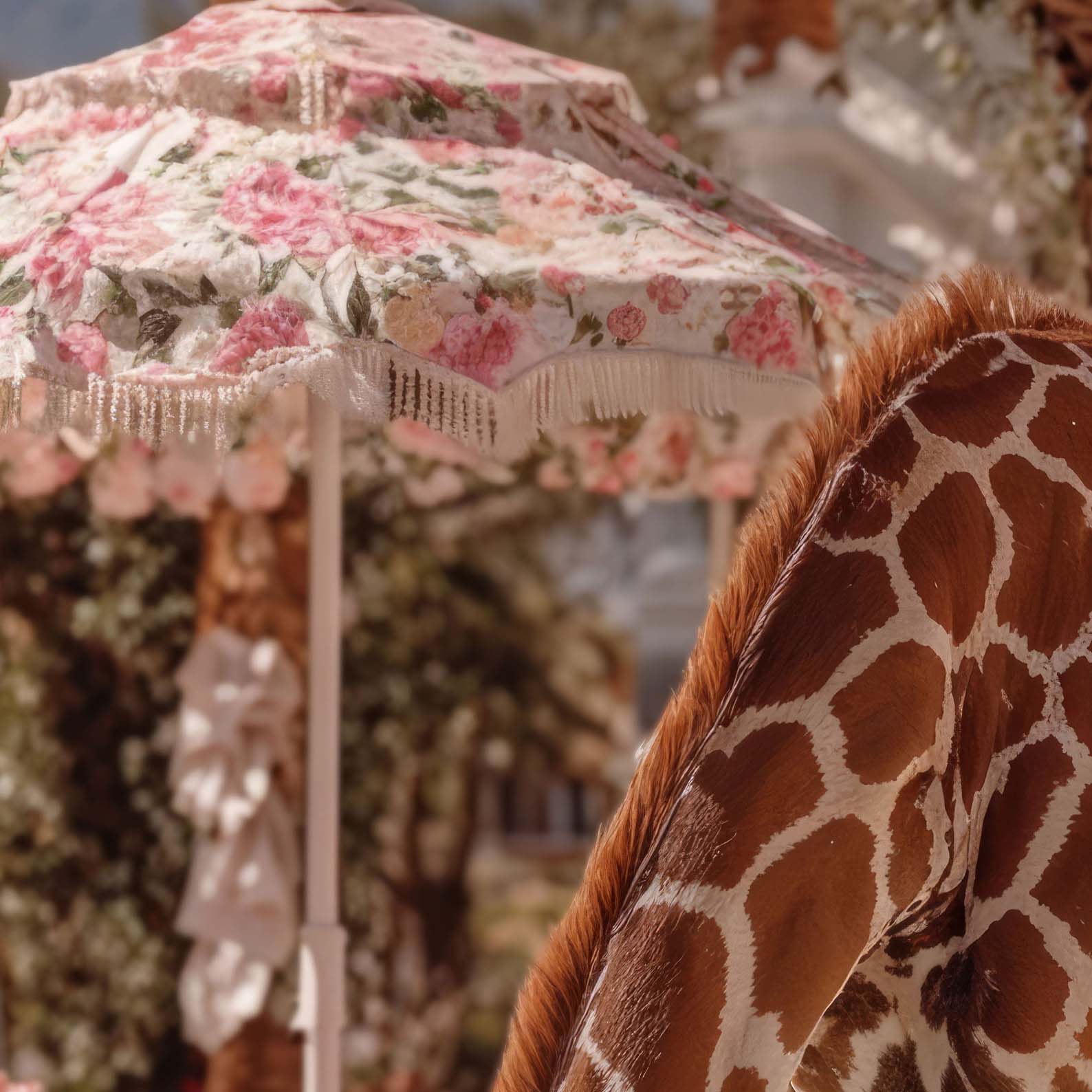 High Resolution Art Texture Of Giraffe Poolside Drinks