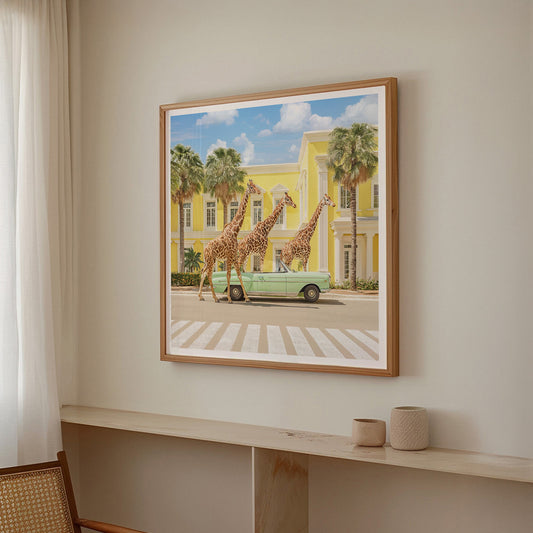 Giraffes On Vacation, Square, Framed Art