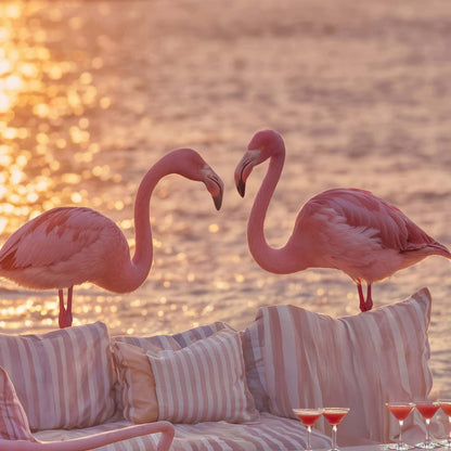 Extreme Close Up Detail Of Golden Hour Flamingos