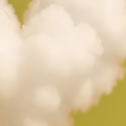 Extreme Close Up Detail Of Heart Cloud · Mustard Yellow