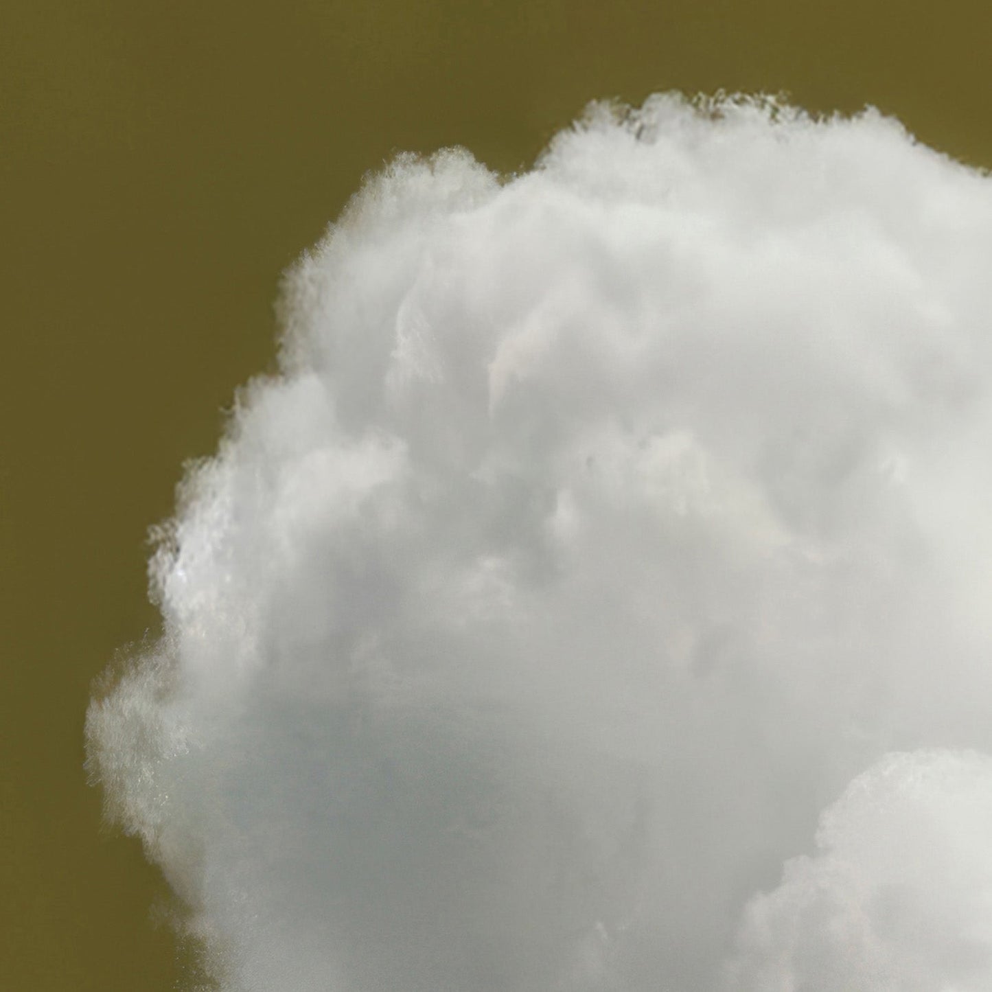 Extreme Close Up Detail Of Heart Cloud · Olive Green